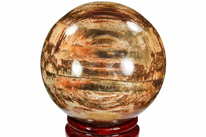 Colorful Petrified Wood Sphere - Madagascar #106985